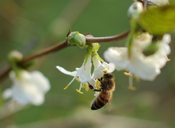 Ilustra�n&iacute; foto.