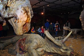 Výstava Dinosauři bez řetězu Výstava Dinosauři bez řetězu