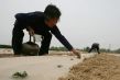 30 let ��nsk�ch ekonomick�ch reforem.