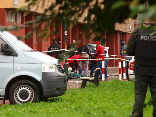 Stre�ba v Dev�nskej Novej Vsi. Foto: TASR