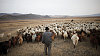 Mongolsko,migrace