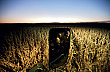 28 A R32 2012