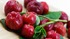 Acerola poch�z� z Karibiku, zn�m� je nejen v�bornou chut�, ale i v�jime�n� vysok�m obsahem vitaminu C.