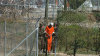 V�znice Guant�namo