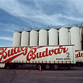 Bud�jovick� Budvar