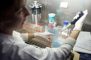 Praktick� nakl�d�n� s profily DNA nem� v oporu v z�kon�