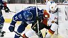 Roman Hor�k v z�pase NHL