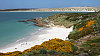 Falklandsk� ostrovy, Falklandy