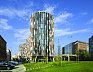 main point karlin1