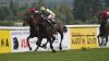 Chardonney Tcheque por�� Roches Crosse ve Velk� jarn� cen�