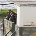 Voj�ci KLDR kontroluj� hranici s Ji�n� Koreou, 19.5.2013