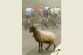 1023061420_0722JNA16_CYCLING-TOUR-_0722_11_650x433_.jpg
