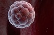 Český biochemik Jiří Friml získal prestižní Körberovu cenu Český biochemik Jiří Friml získal prestižní Körberovu cenu
