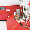 Recepce nemocnice v Plan�