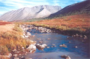 Mongolsko Mongolsko