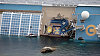 Costa Concordia