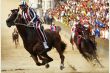 palio5__550x367_.jpg