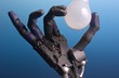 biomedic�na