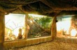 ZOO Brno