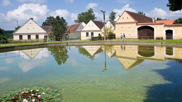 Soběslavská blata Soběslavská blata