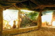 ZOO Brno ZOO Brno