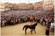 palio3__550x367_.jpg