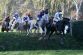 1028307642_IMG_5616_2_650x433_.jpg