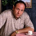 V seriálu Sopranovi ztvárnil James Gandolfini hlavní roli.