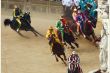 palio7__550x367_.jpg