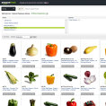 Amazon Fresh