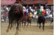 palio9__550x367_.jpg