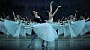 V hlavních rolích baletu Giselle vystupují Natalija Osipovová a Leonid Sarafanov