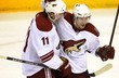hanzal prucha phoenix nhl