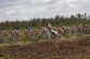 1023061420_0723SPORT_CYKLISTIKA_SILNICNI_TOUR_7_383_650x433_.jpg