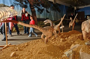 Výstava Dinosauři bez řetězu Výstava Dinosauři bez řetězu