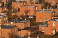 Zl_n_185x122.jpg