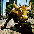 Býk jako jeden ze symbolů Wall Street, ilustrační foto