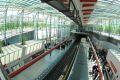 metro-nove-gal-05.jpg