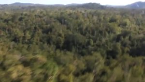 108378001.mp4.jpg