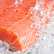Losos na ledu - ilustra�n� foto