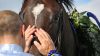 �esk� derby