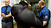�krty, v�zen�, ilustra�n� foto