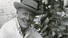 Herman Wouk za 2. světové války sloužil na válečných lodích minolovkách.