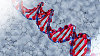 DNA, ilustrační foto