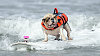 Purina Incredible Dog Challenge in San Diego.
