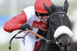Žokej Ruby Walsh v Cheltenhamu Žokej Ruby Walsh v Cheltenhamu