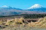 cestovanie more hory ESO travel