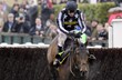 Imperial Commander v�t�z� v Cheltenham Gold Cupu