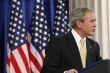Big_Brother_bush_550x367_.jpg