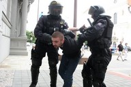 policie_zasah_zadrzeni__192x128_.jpg